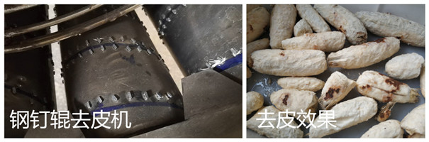 木薯去皮機(jī)-鋼釘輥 木薯去皮機(jī)-鋼釘輥