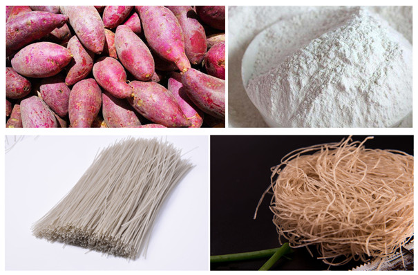 紅薯粉條加工 紅薯粉條加工