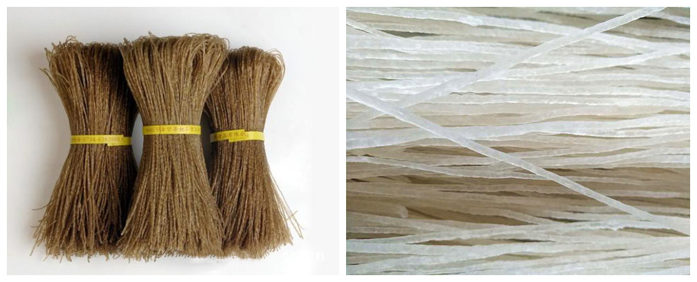 粉條形態(tài)對比 粉條形態(tài)對比