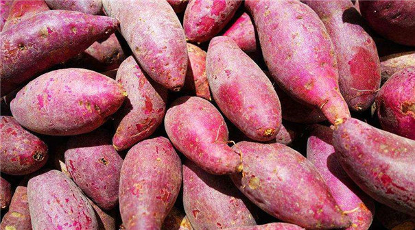 實(shí)用型紅薯淀粉生產(chǎn)線