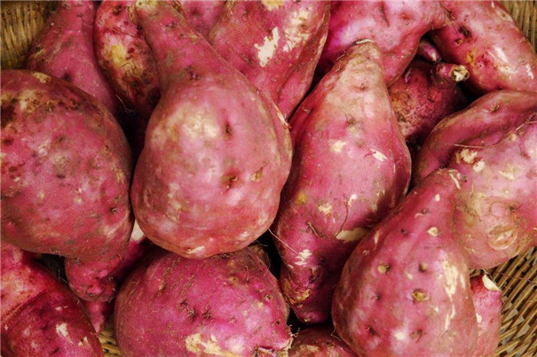 經(jīng)濟型紅薯淀粉生產(chǎn)線 經(jīng)濟型紅薯淀粉生產(chǎn)線